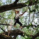 Tree Climbing adventures