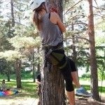 Tree climbing Adventures