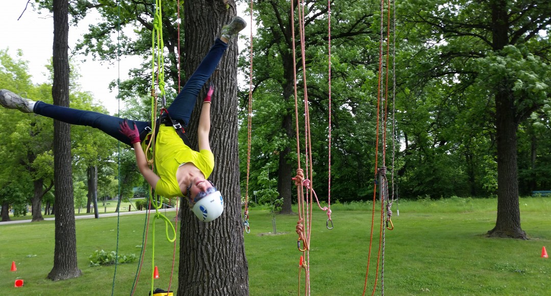 tree climbing fun