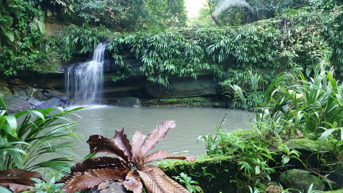 La Piscina Mayantuyacu Peru