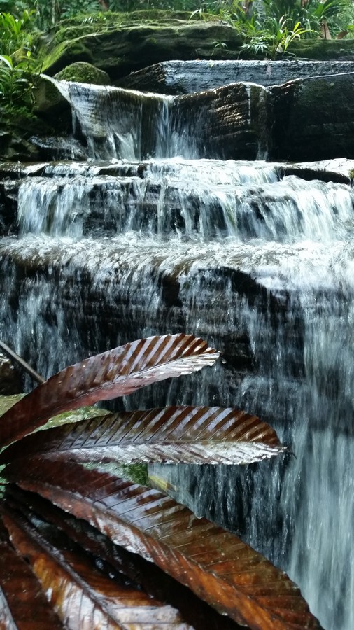 water fall at Mayantuyacu